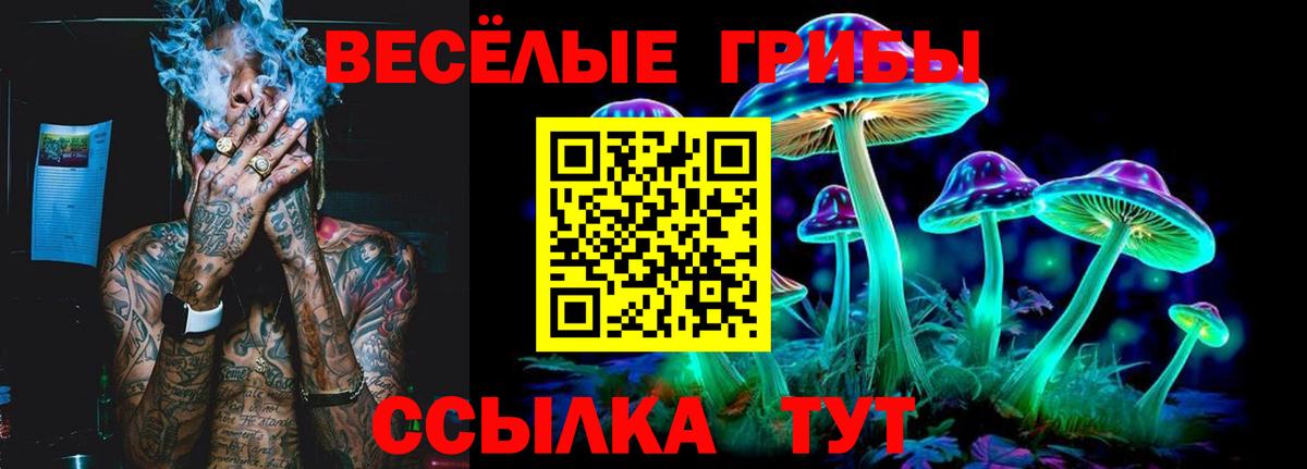 Псилоцибиновые грибы Magic Shrooms  Вход с VPN  Псилоцибиновые грибы MAGIC MUSHROOMS  Екатеринбург 