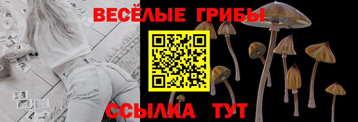 Галлюциногенные грибы MAGIC MUSHROOMS Екатеринбург